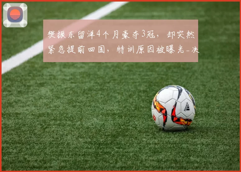 樊振东留洋4个月豪夺3冠，却突然紧急提前回国，特训原因被曝光_决赛_萨尔布吕肯_训练