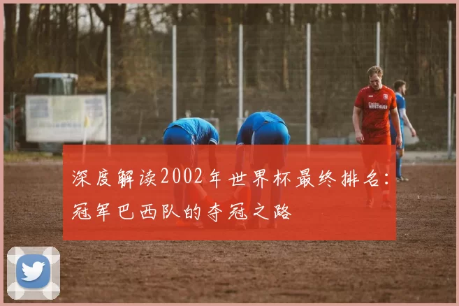 深度解读2002年世界杯最终排名:冠军巴西队的夺冠之路