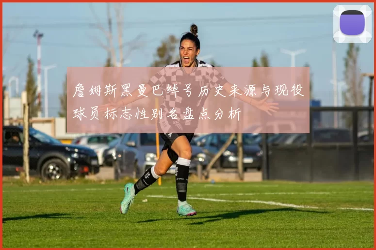 詹姆斯黑曼巴绰号历史来源与现役球员标志性别名盘点分析