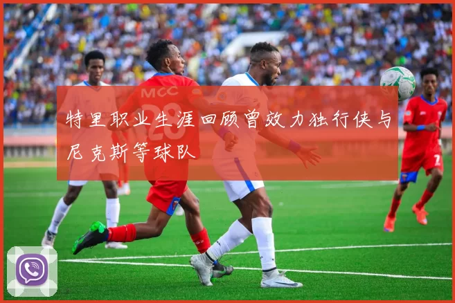 特里职业生涯回顾曾效力独行侠与尼克斯等球队