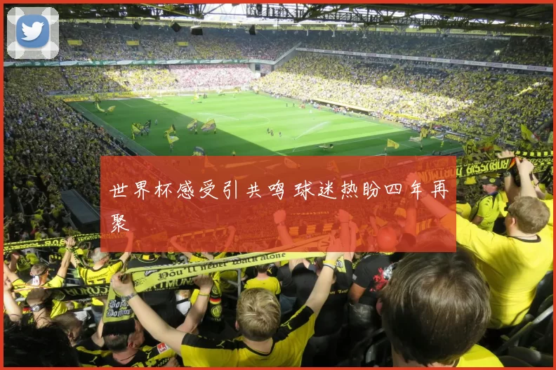 世界杯感受引共鸣 球迷热盼四年再聚
