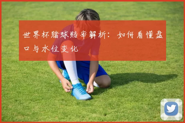 世界杯赌球赔率解析：如何看懂盘口与水位变化