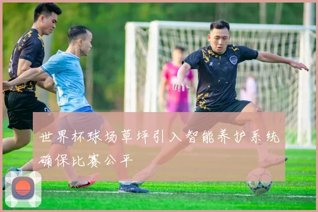 世界杯球场草坪引入智能养护系统确保比赛公平