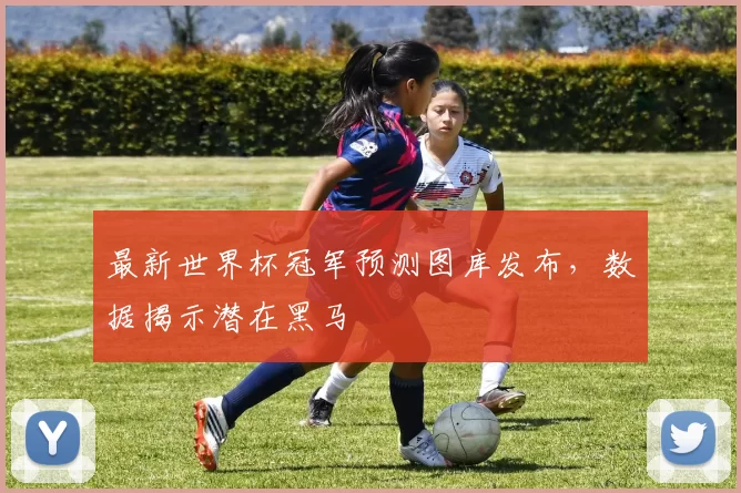 最新世界杯冠军预测图库发布,数据揭示潜在黑马
