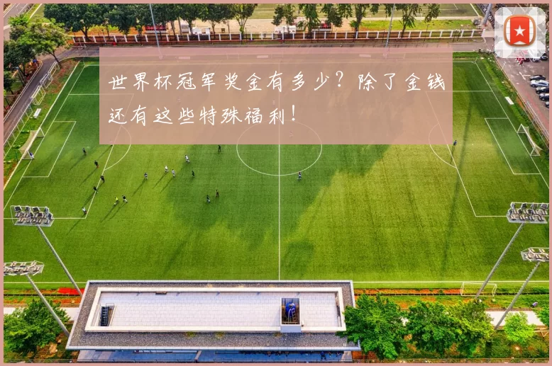 世界杯冠军奖金有多少？除了金钱还有这些特殊福利！