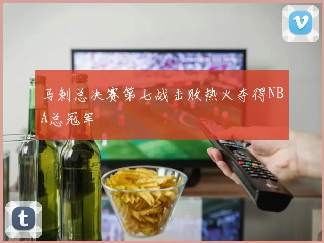 马刺总决赛第七战击败热火夺得NBA总冠军