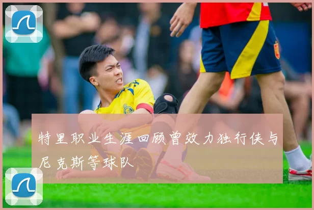 特里职业生涯回顾曾效力独行侠与尼克斯等球队