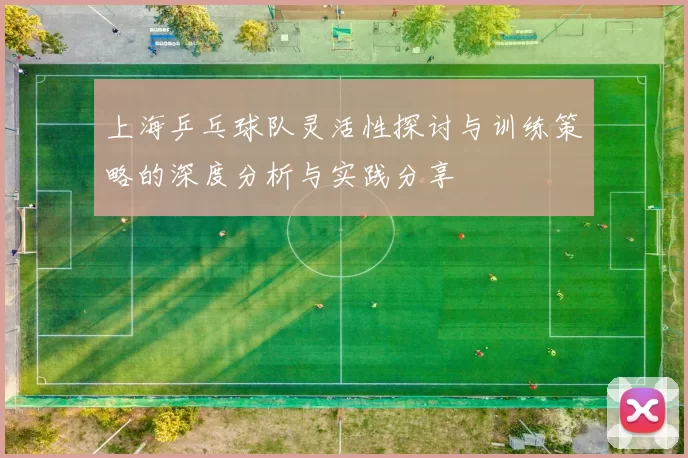 上海乒乓球队灵活性探讨与训练策略的深度分析与实践分享