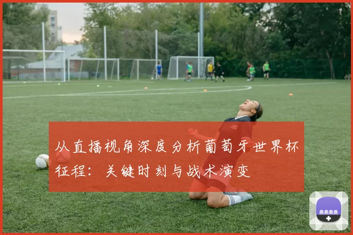 从直播视角深度分析葡萄牙世界杯征程:关键时刻与战术演变