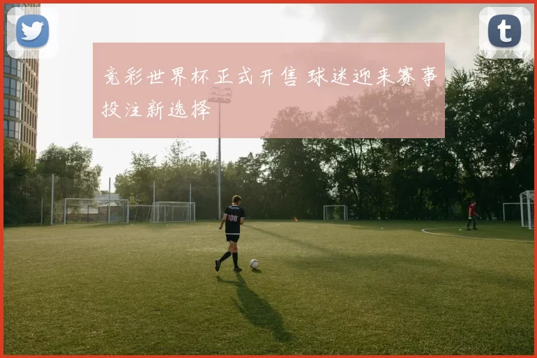 竞彩世界杯正式开售 球迷迎来赛事投注新选择