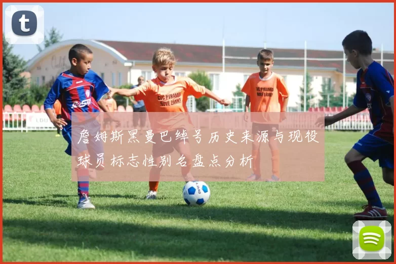 詹姆斯黑曼巴绰号历史来源与现役球员标志性别名盘点分析