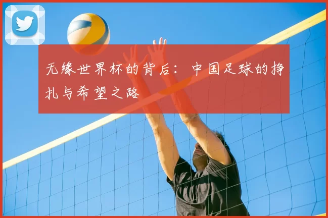 无缘世界杯的背后:中国足球的挣扎与希望之路