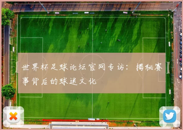 世界杯足球论坛官网专访：揭秘赛事背后的球迷文化