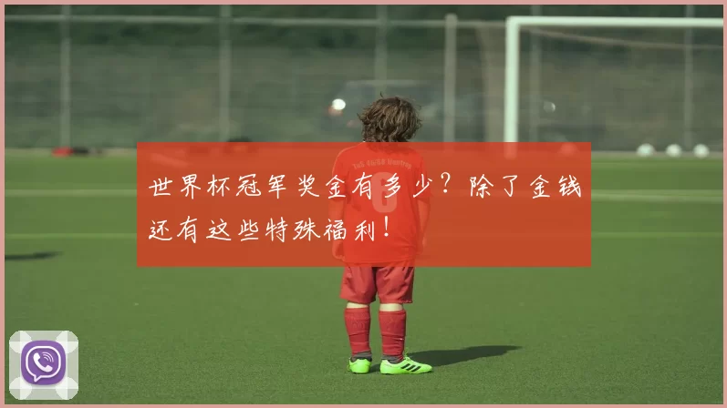 世界杯冠军奖金有多少?除了金钱还有这些特殊福利!