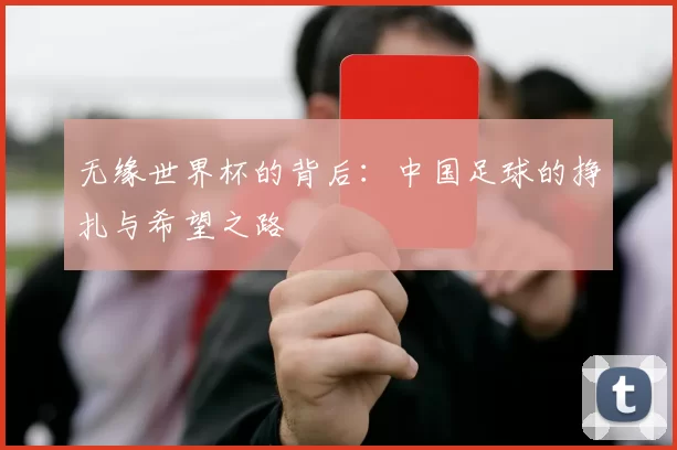 无缘世界杯的背后:中国足球的挣扎与希望之路