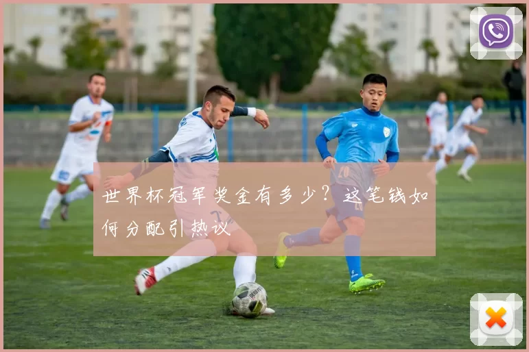 世界杯冠军奖金有多少？这笔钱如何分配引热议